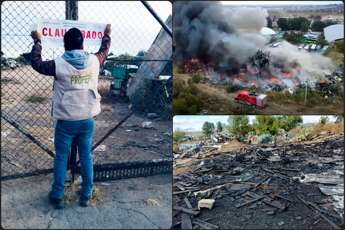 Clausura Profepa instalaciones de empresa de autobuses por incendio en Mineral de la Reforma
