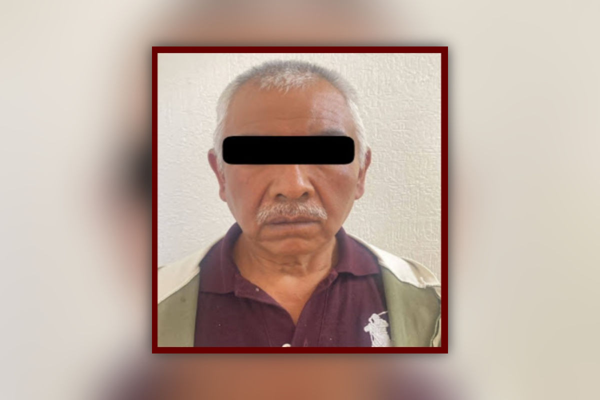 Presunto responsable de maltrato y abuso de perrita en Mineral de la Reforma es vinculado a proceso