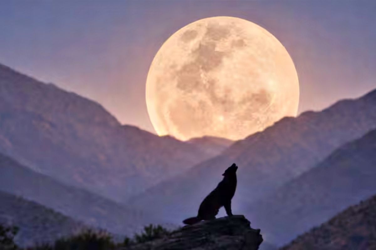 Llega este fin de semana la 'Luna de Lobo', la primera superluna del año