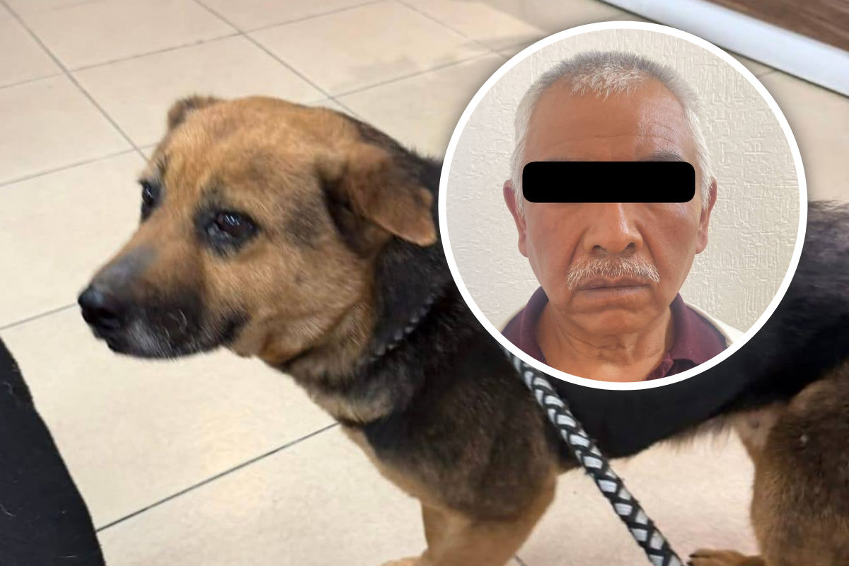 Aprehenden al presunto responsable de maltrato y abuso de perrita en Mineral de la Reforma