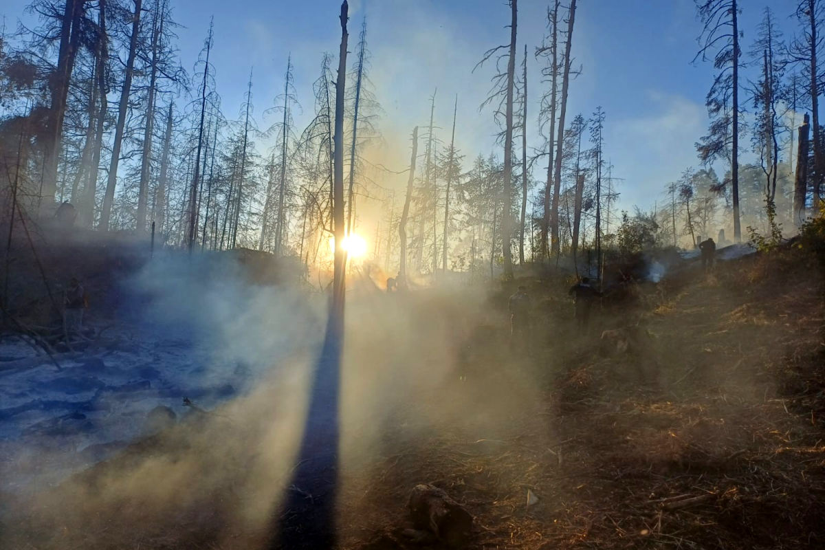 Intensifican esfuerzos ante el inicio de temporada de incendios forestales en Hidalgo