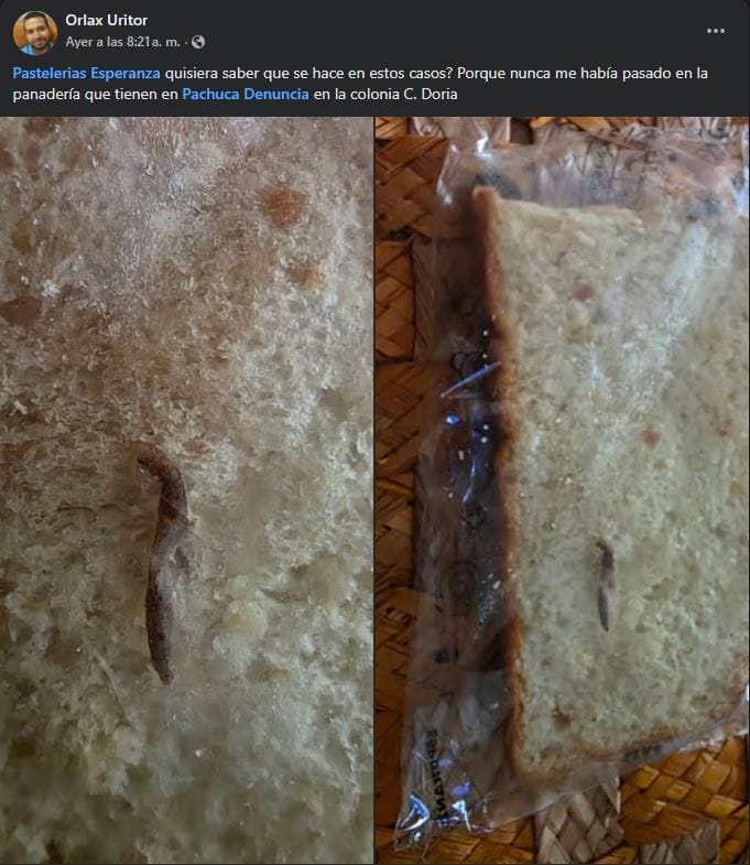 Denuncian producto contaminado en conocida panadería del sur de Pachuca