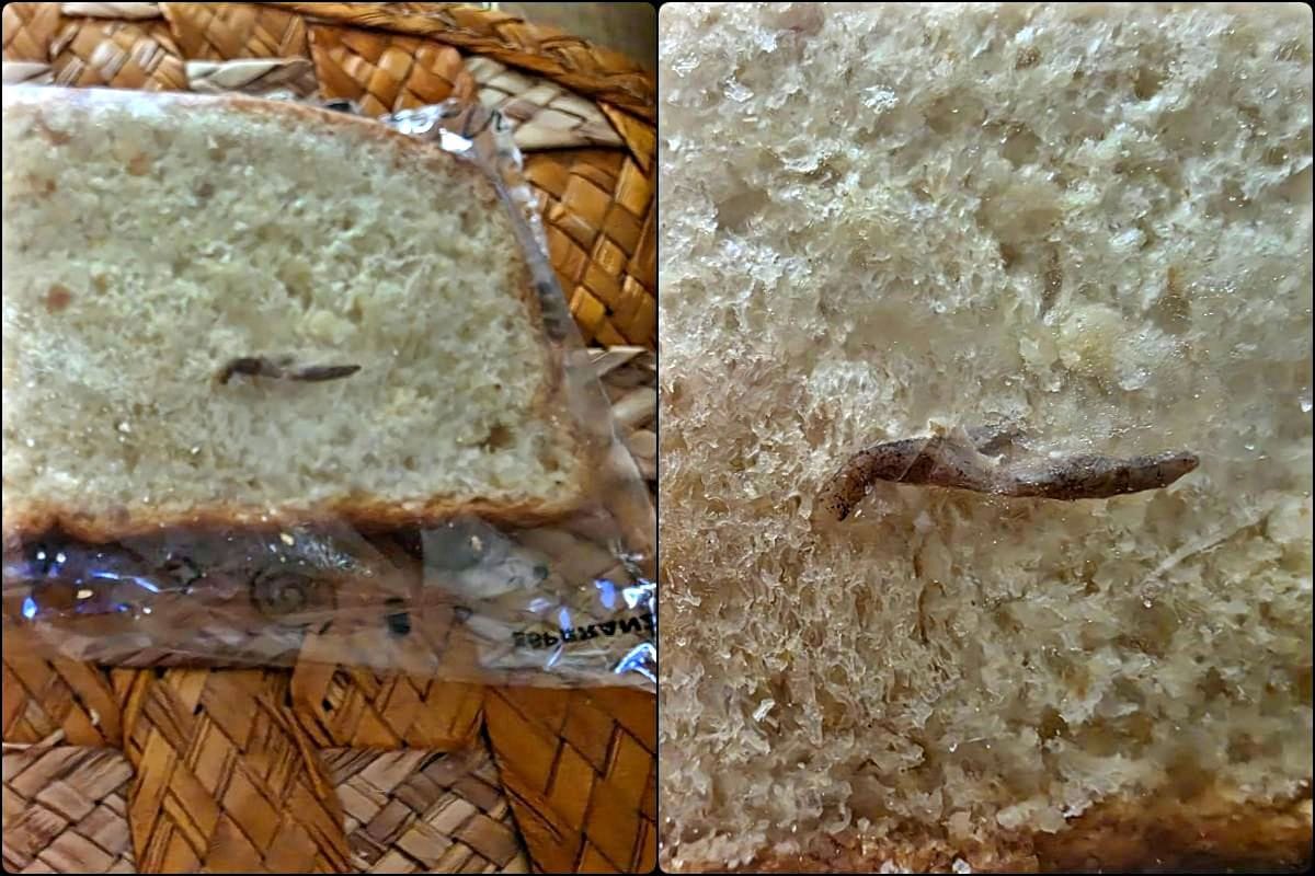 Denuncian producto contaminado en conocida panadería del sur de Pachuca