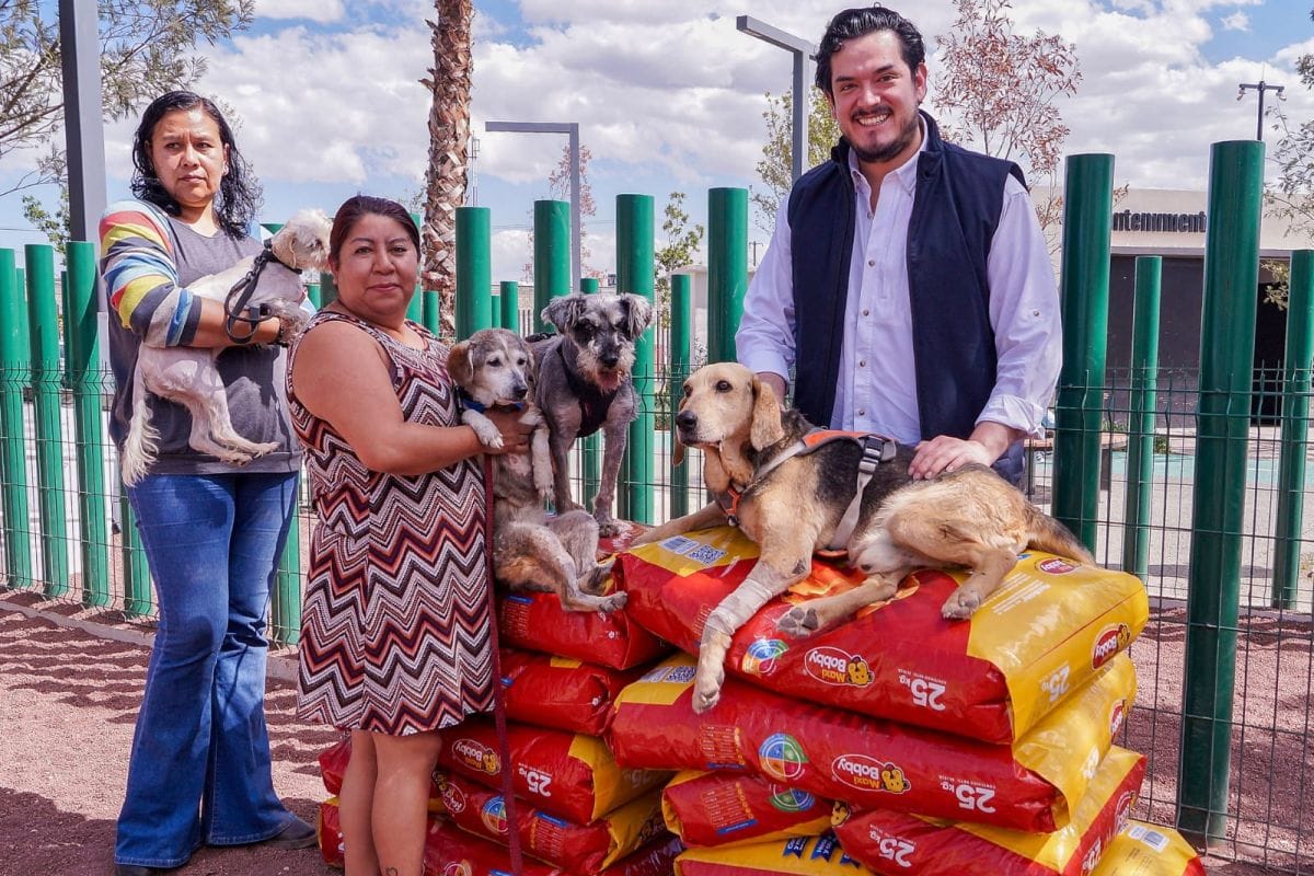 Fundación entrega 250 kilos de alimento para lomitos rescatados en Pachuca
