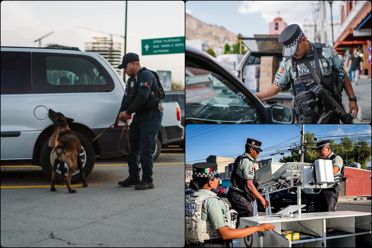 Nuevas torres inteligentes, drones y binomios K9 vigilan Pachuca