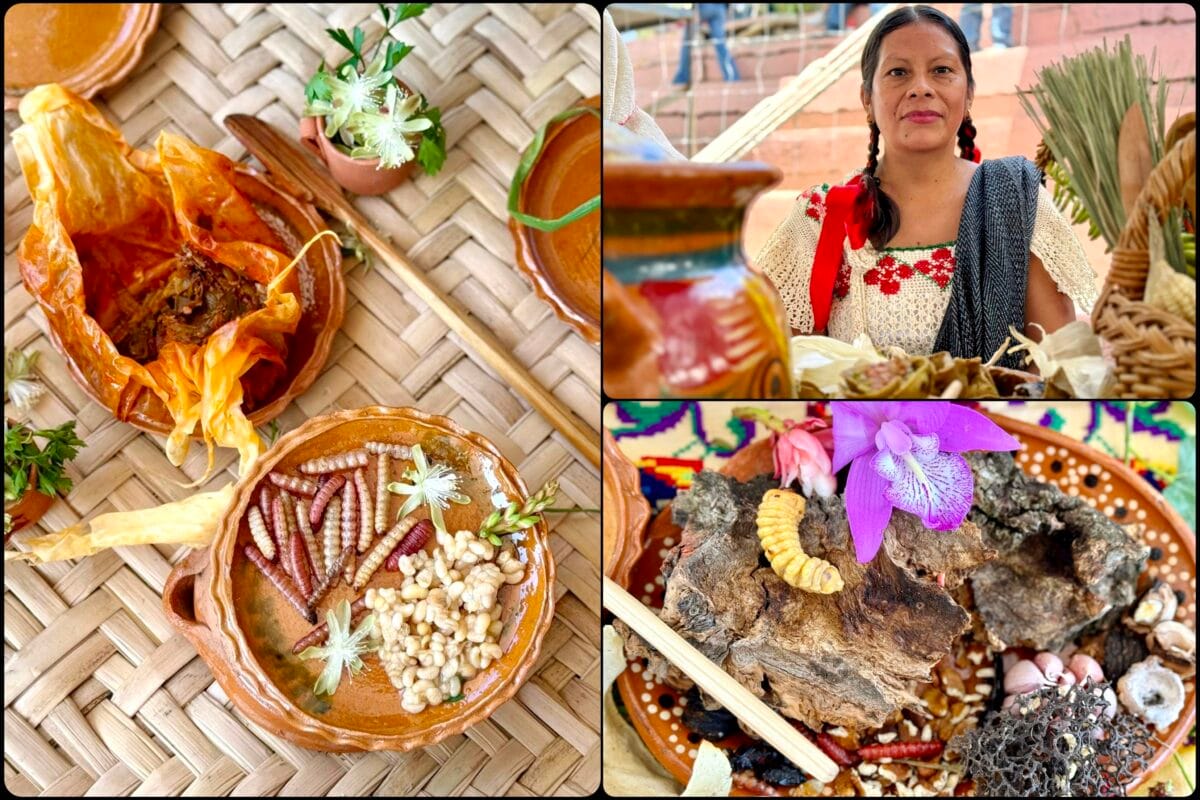 Sabores del Mezquital: Santiago de Anaya cautivó con su XLV Muestra Gastronómica