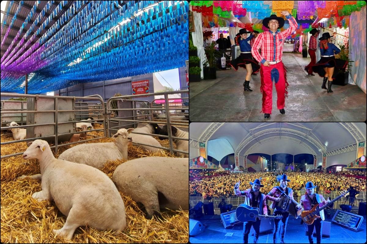 ¿Cómo le fue a La Ganadera? Concluyó la expo feria en Pachuca dedicada al campo