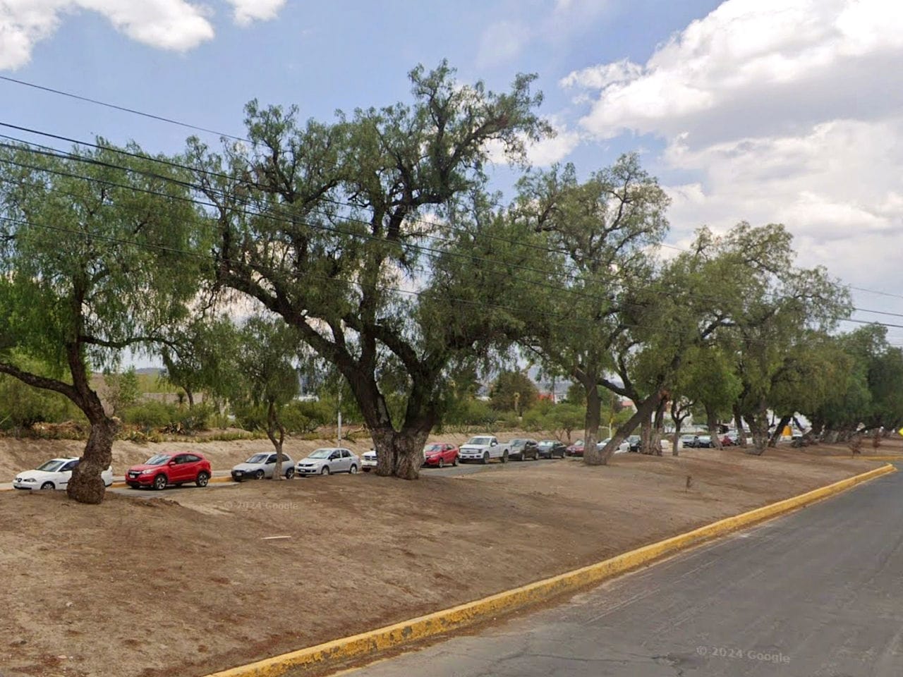 SEMARNATH desmiente tala masiva en avenida de Pachuca