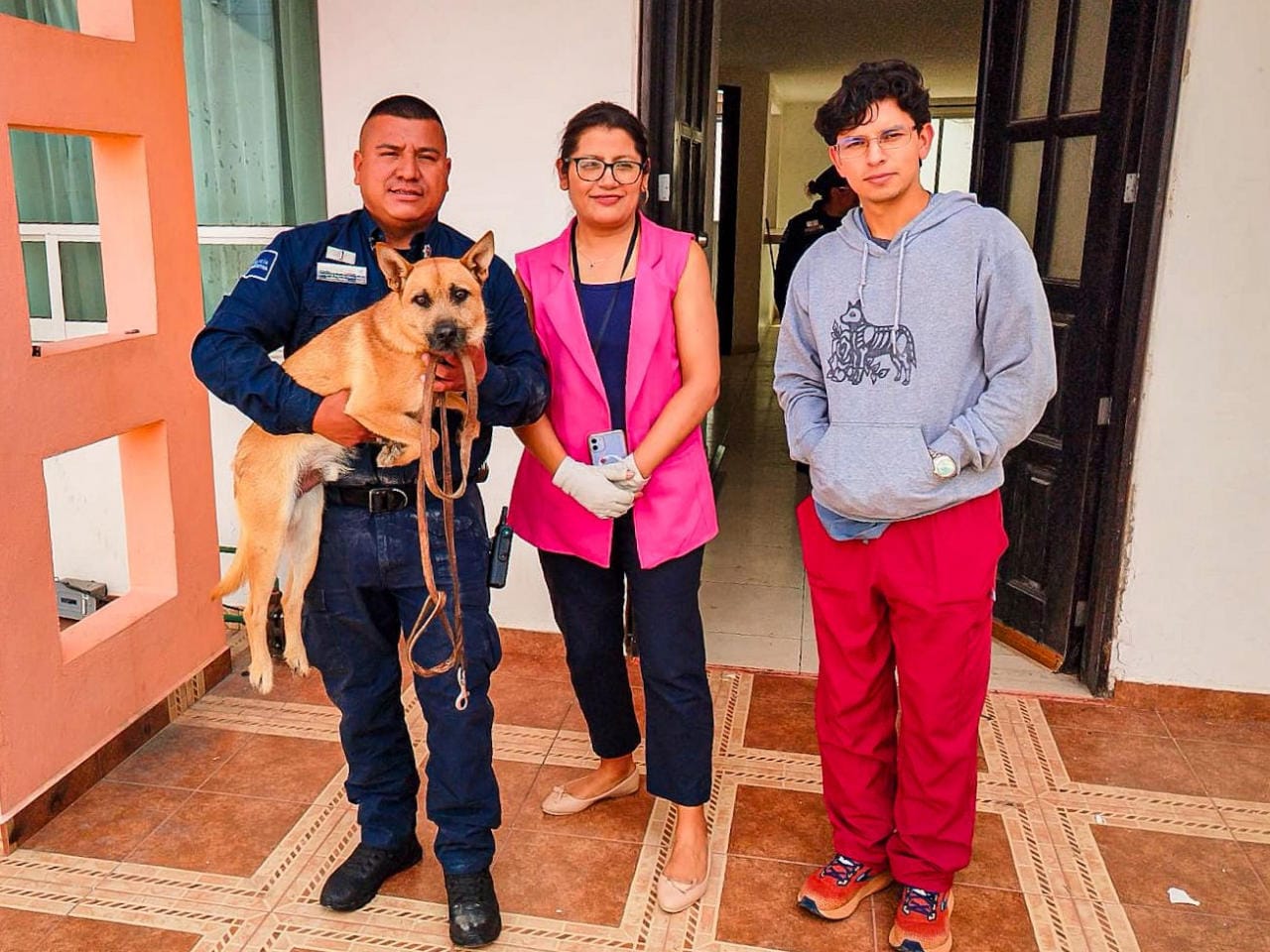 Abandonan a lomito en fraccionamiento de Pachuca; autoridades logran su rescate