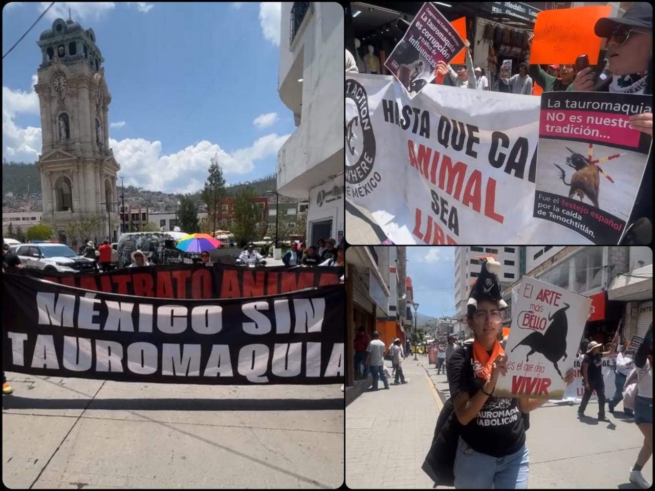 ¡Hidalgo sin sangre y sin tortura! Colectivos marchan en Pachuca contra la tauromaquia