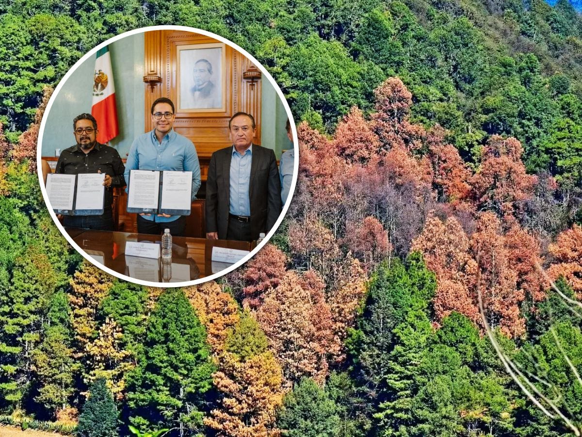 Pachuca y Conafor lanzan plan para salvar la zona boscosa de la capital hidalguense