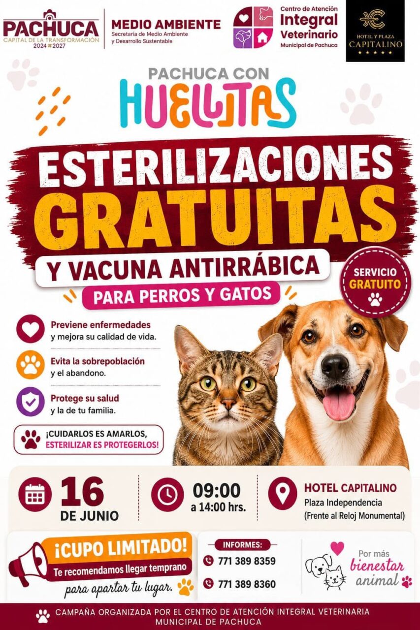 Abren jornada de esterilización gratuita para mascotas en el centro de Pachuca