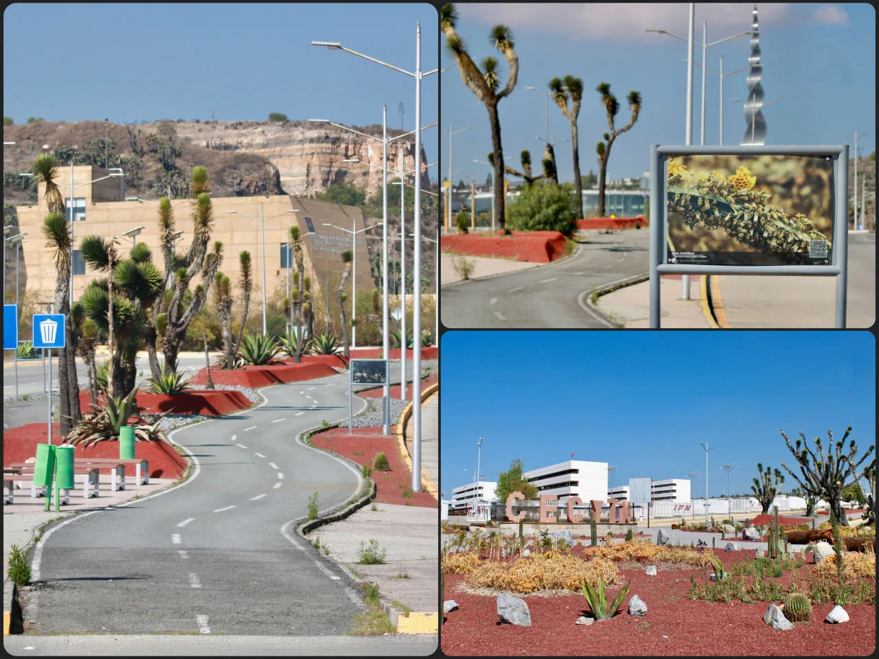 Abre sus puertas el Sendero de la Ciencia y la Biodiversidad en la zona metropolitana de Pachuca