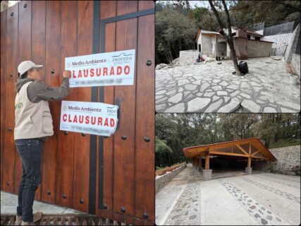 Clausuran construcción de cabaña y salón en el Parque Nacional El Chico por grave daño ambiental