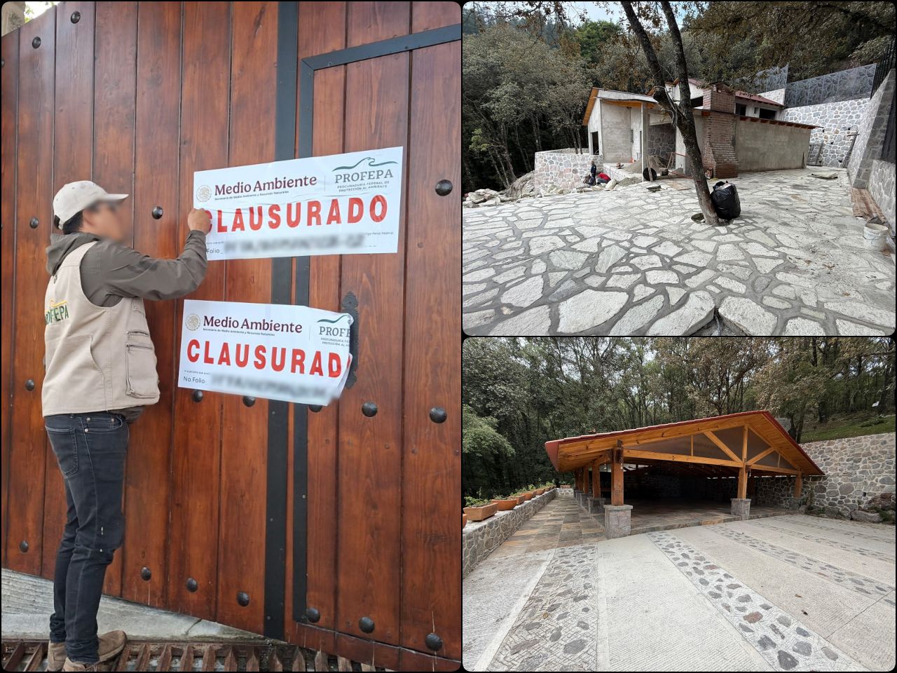 Clausuran construcción de cabaña y salón en el Parque Nacional El Chico por grave daño ambiental