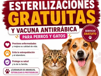 Abren jornada de esterilización gratuita para mascotas en el centro de Pachuca