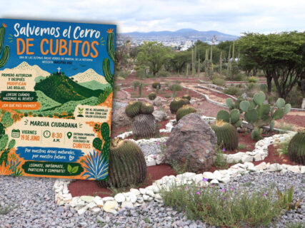¡Salvemos el Cerro de Cubitos! Convocan a movilización ante amenaza ecológica de Mineral de la Reforma