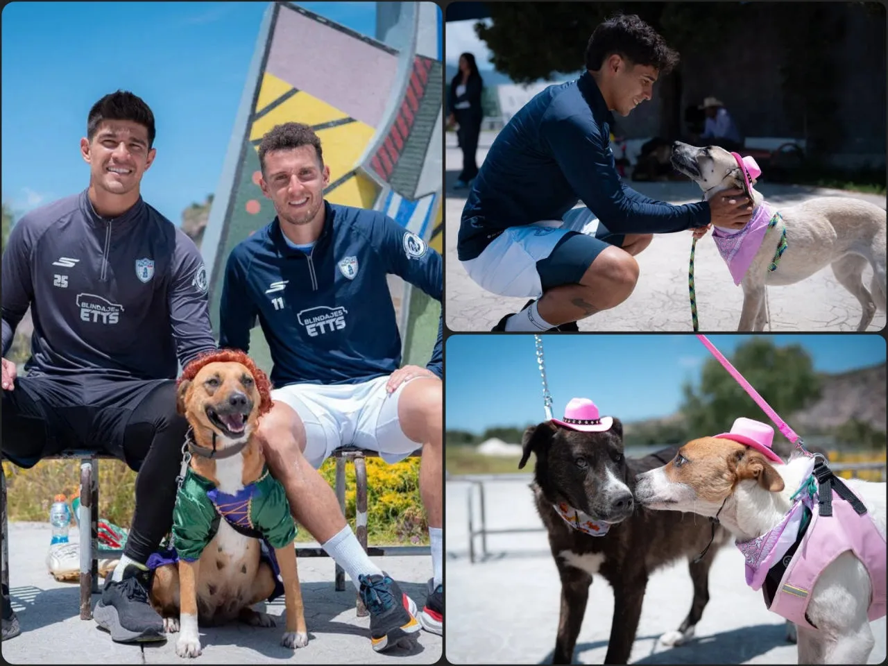 Los Tuzos, Automoda Wraps y San Agustín Tlaxiaca se unen para salvar a perritos abandonados
