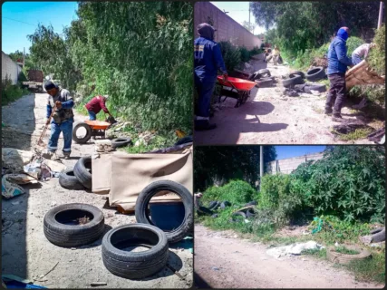 La presidencia retira 120 llantas abandonadas para frenar el dengue en Pachuca