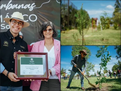 Tree Cities of the World: Pachuca recibe distinción internacional por su compromiso con la reforestación
