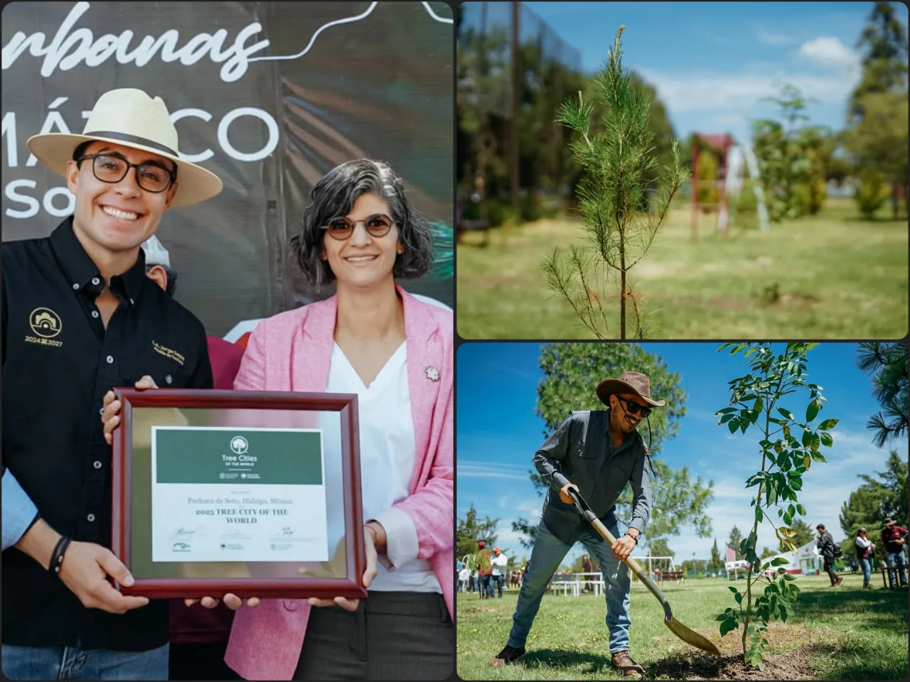 Tree Cities of the World: Pachuca recibe distinción internacional por su compromiso con la reforestación